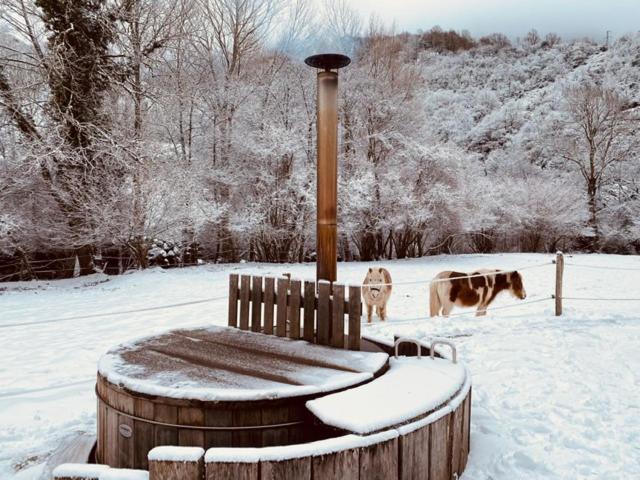 Chalet Le Fario, Bain Nordique Frechet-Aure Exterior foto